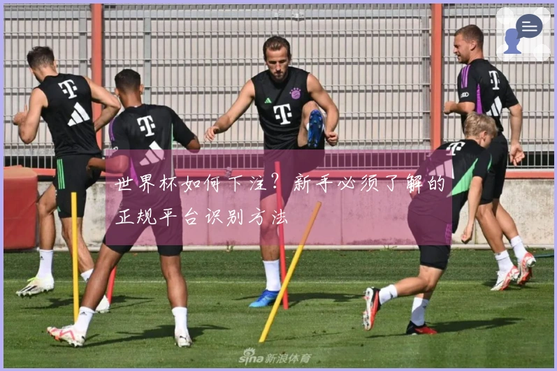 世界杯如何下注？新手必须了解的正规平台识别方法