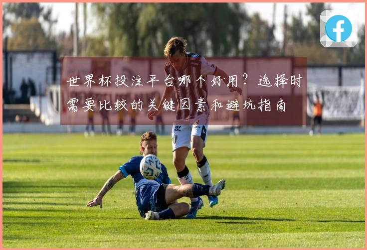 世界杯投注平台哪个好用？选择时需要比较的关键因素和避坑指南