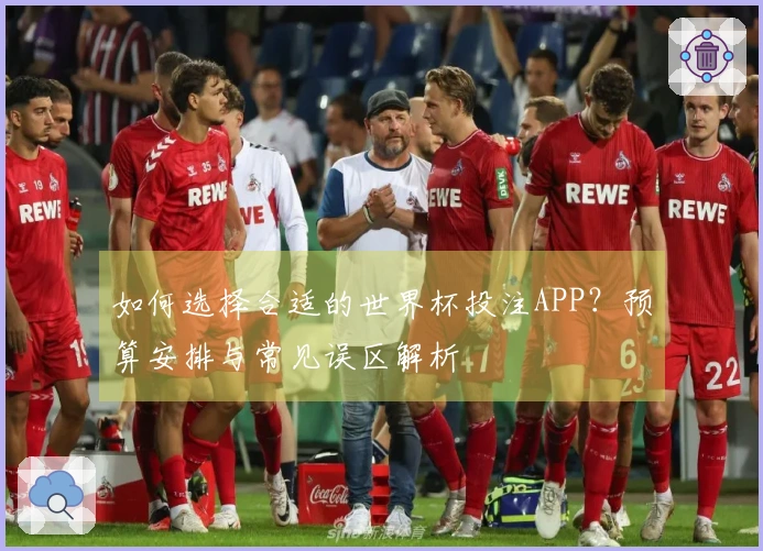 如何选择合适的世界杯投注APP？预算安排与常见误区解析