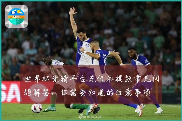 世界杯竞猜平台充值和提款常见问题解答，你需要知道的注意事项