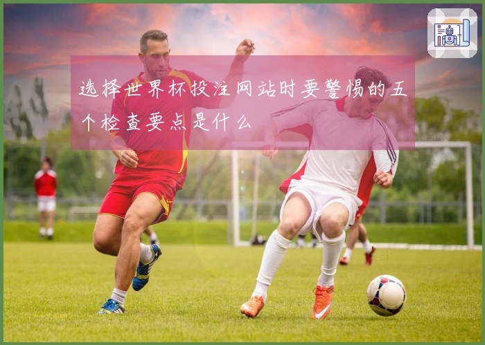 选择世界杯投注网站时要警惕的五个检查要点是什么