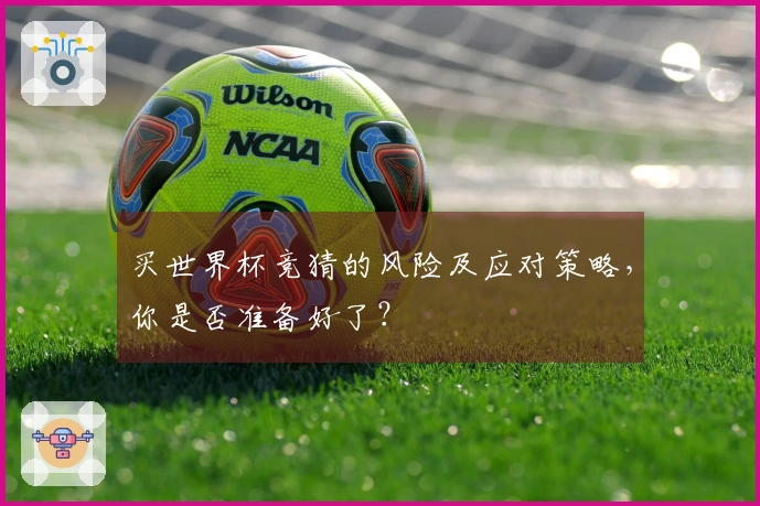买世界杯竞猜的风险及应对策略,你是否准备好了?