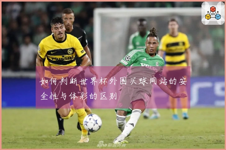 如何判断世界杯外围买球网站的安全性与体彩的区别