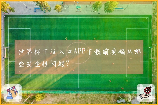 世界杯下注入口APP下载前要确认哪些安全性问题？