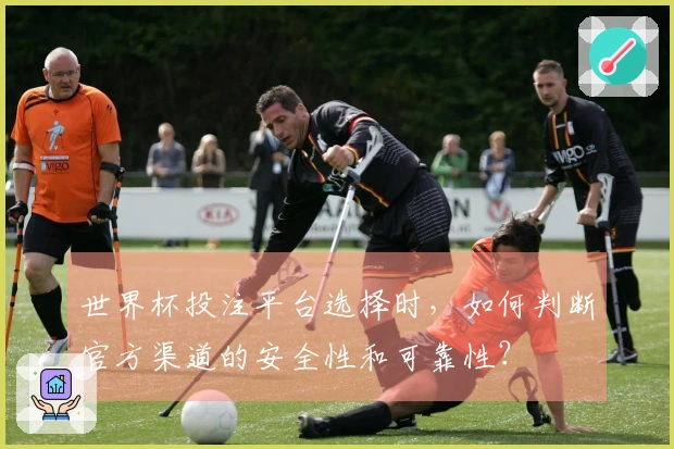 世界杯投注平台选择时，如何判断官方渠道的安全性和可靠性？