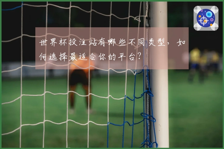 世界杯投注站有哪些不同类型，如何选择最适合你的平台？