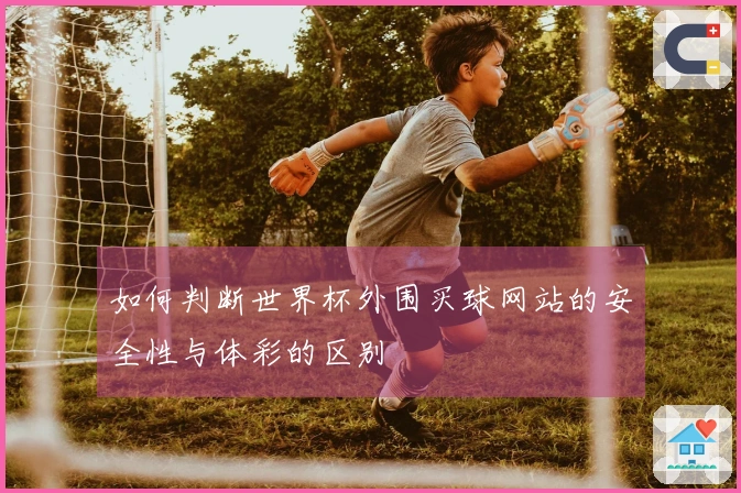如何判断世界杯外围买球网站的安全性与体彩的区别