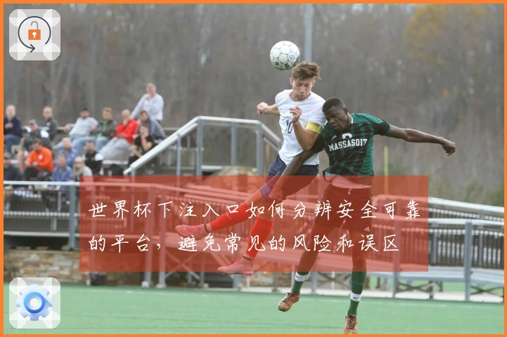 世界杯下注入口如何分辨安全可靠的平台,避免常见的风险和误区