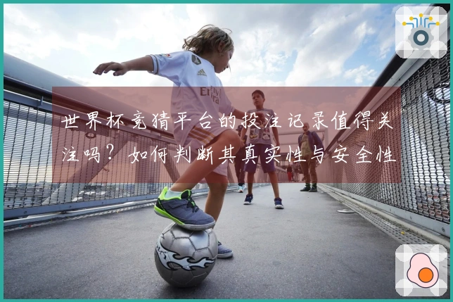 世界杯竞猜平台的投注记录值得关注吗？如何判断其真实性与安全性