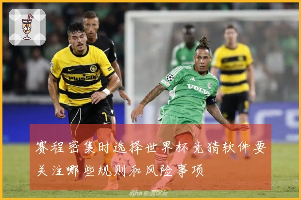 赛程密集时选择世界杯竞猜软件要关注哪些规则和风险事项
