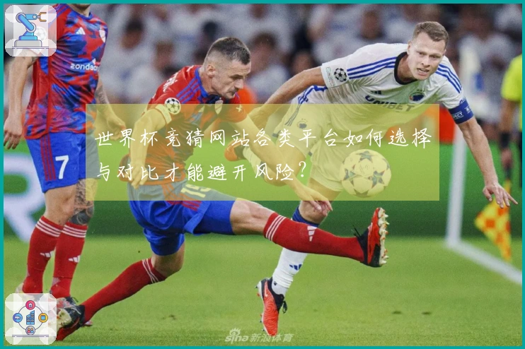 世界杯竞猜网站各类平台如何选择与对比才能避开风险？