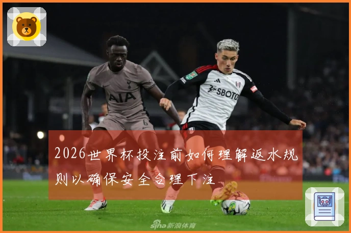 2026世界杯投注前如何理解返水规则以确保安全合理下注