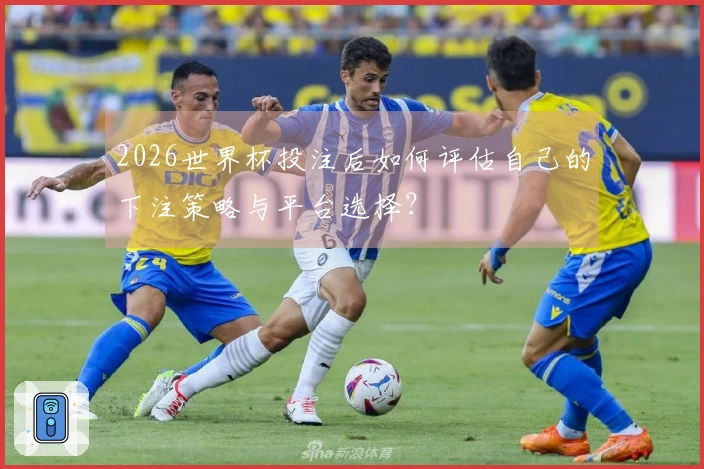 2026世界杯投注后如何评估自己的下注策略与平台选择？