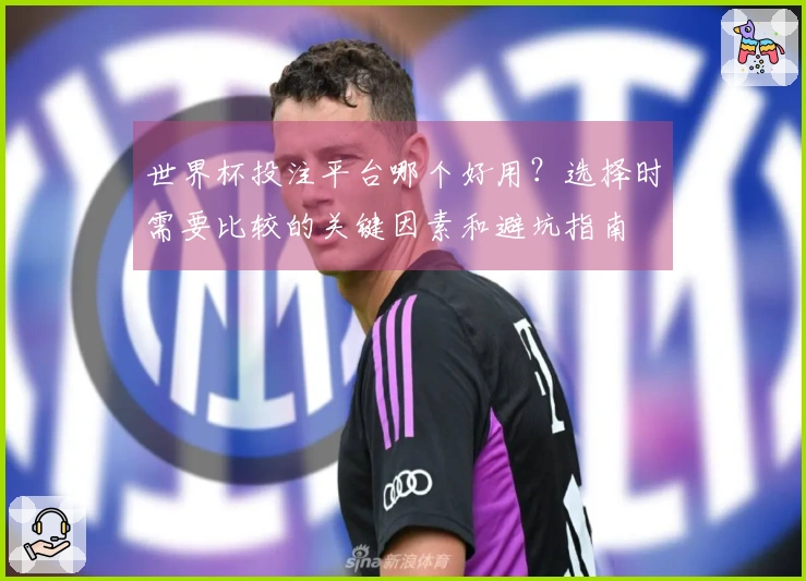 世界杯投注平台哪个好用？选择时需要比较的关键因素和避坑指南