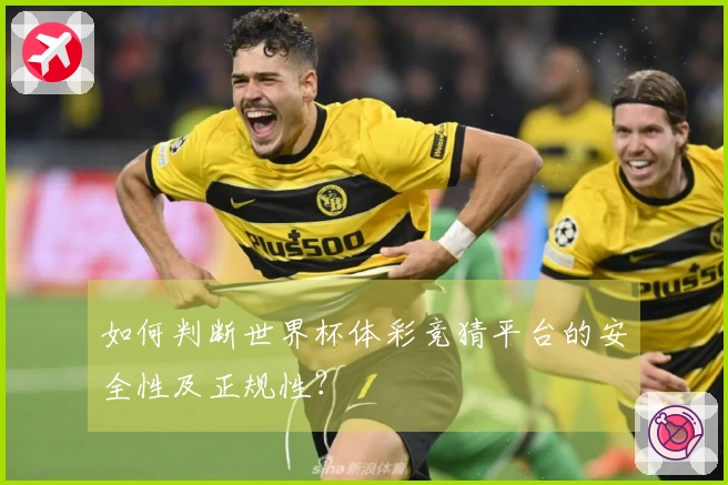 如何判断世界杯体彩竞猜平台的安全性及正规性？