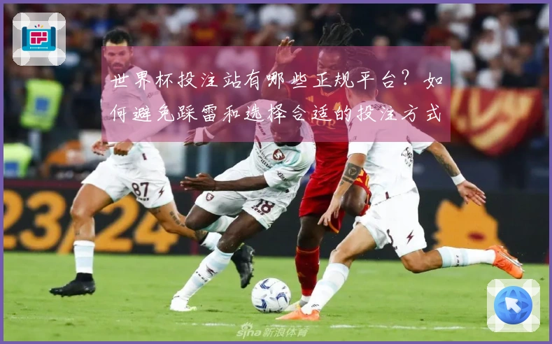 世界杯投注站有哪些正规平台？如何避免踩雷和选择合适的投注方式？