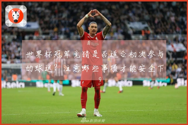 世界杯冠军竞猜是否适合初次参与的球迷?注意哪些事项才能安全下注