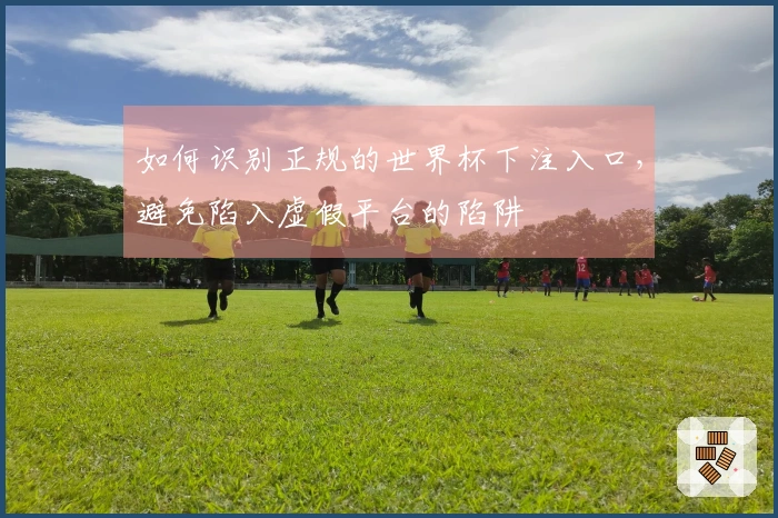 如何识别正规的世界杯下注入口，避免陷入虚假平台的陷阱