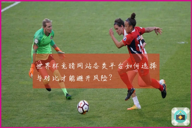 世界杯竞猜网站各类平台如何选择与对比才能避开风险？