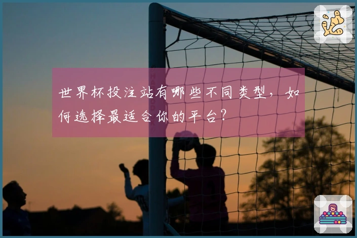 世界杯投注站有哪些不同类型,如何选择最适合你的平台?