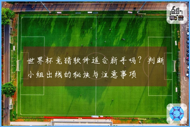 世界杯竞猜软件适合新手吗？判断小组出线的秘诀与注意事项