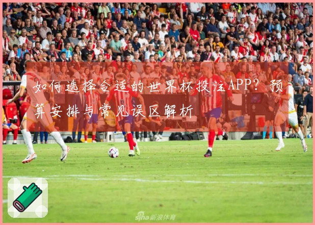 如何选择合适的世界杯投注APP?预算安排与常见误区解析