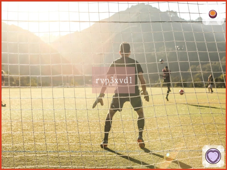 rvp3xvd1